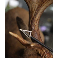 G5 - Lame De Chasse MONTEC Crossbow